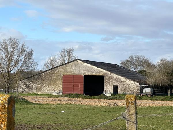 Superbe propriété équestre avec Maison de Maître, deux annexes, trois écuries, au milieu de 25ha de terres, entre Bordeaux et Bergerac.