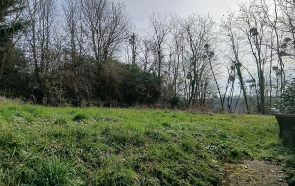 Vente Maison Avec plusieurs caves et jardin à rafraîchir Montoire-sur-le-loir   
