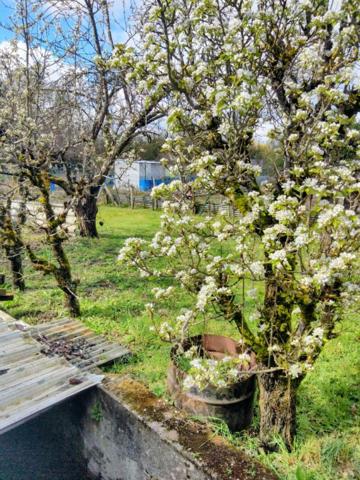 Terrain constructible