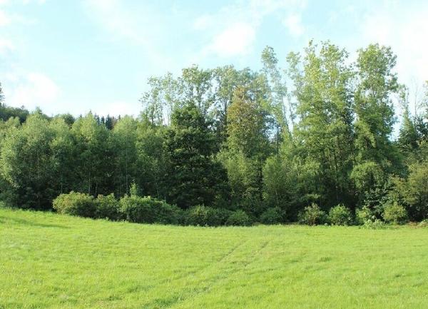 Terrain à vendre    Cleurie