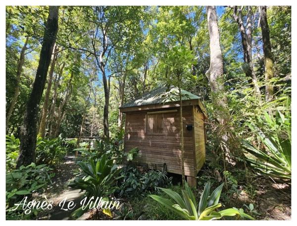 Propriété Maison + 3 Gites sur 5 000 m2 de Forêt