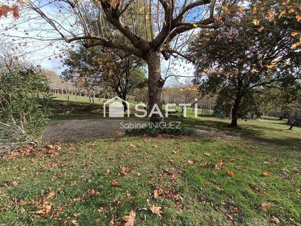 MAISON A LA CAMPAGNE, GRAND TERRAIN