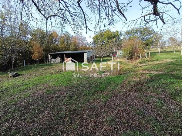 MAISON A LA CAMPAGNE, GRAND TERRAIN