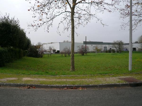 ⚜ CHATEAUBERNARD (16) Terrain à Vendre en Zone Urbaine à Vocation Economique ⚜