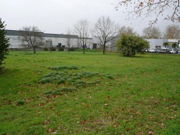 ⚜ CHATEAUBERNARD (16) Terrain à Vendre en Zone Urbaine à Vocation Economique ⚜