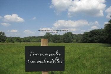 Bien agricole à vendre à Landivy en Mayenne (53190), ref : 8311