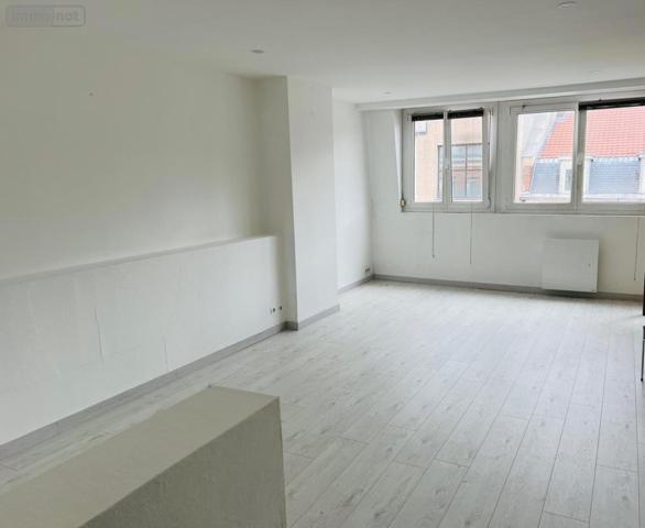 Appartement à louer à Lille dans le Nord (59000), ref : 59191-L1007   
Centre