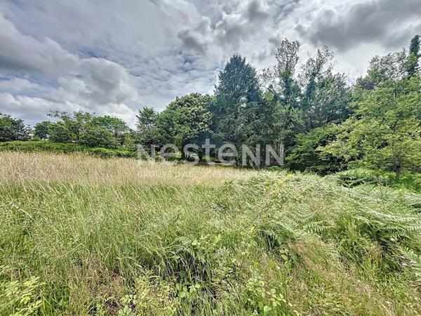 Terrain plat à bâtir - Lot B - Chanteix 1700 m2