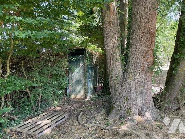 BORD DE LOIR - A VENDRE - MONTOIRE/ LOIR ( 41800)