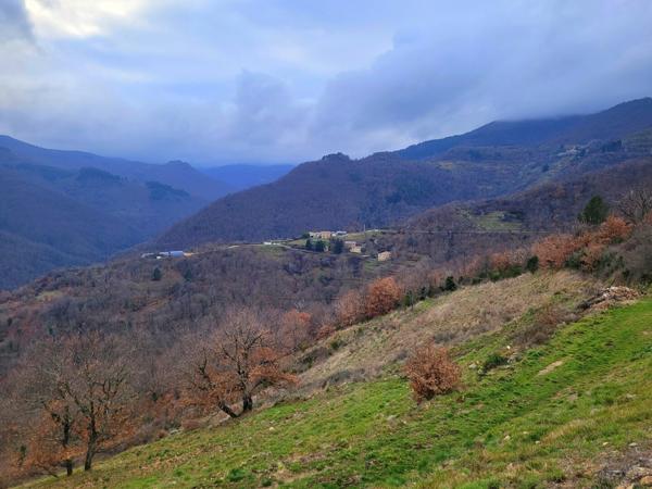 Maison en pierres avec dépendances et 4 hectares de terrain