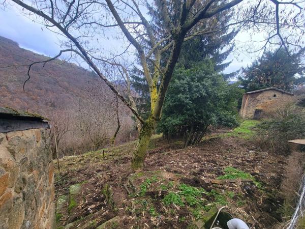 Maison en pierres avec dépendances et 4 hectares de terrain