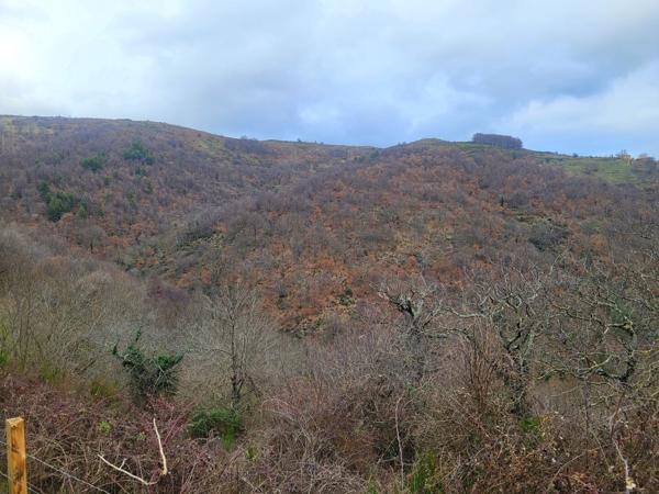 Maison en pierres avec dépendances et 4 hectares de terrain