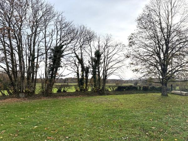 EN EXCLUSIVITE ! Terrain constructible de 2347m² à vendre 19 900 €