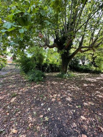 Terrain à Batir à vendre à Serrières-en-Chautagne en Savoie (73310), ref : 13890/114