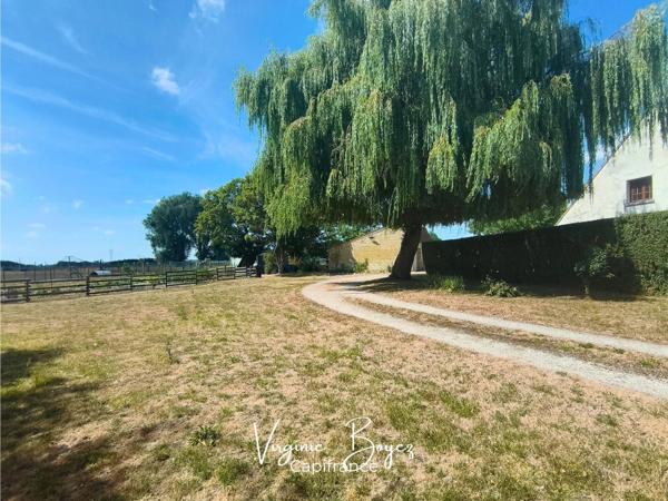 Maison de campagne 190 m² – 4 chambres – Terrain clos de 7 500 m² – Beau potentiel