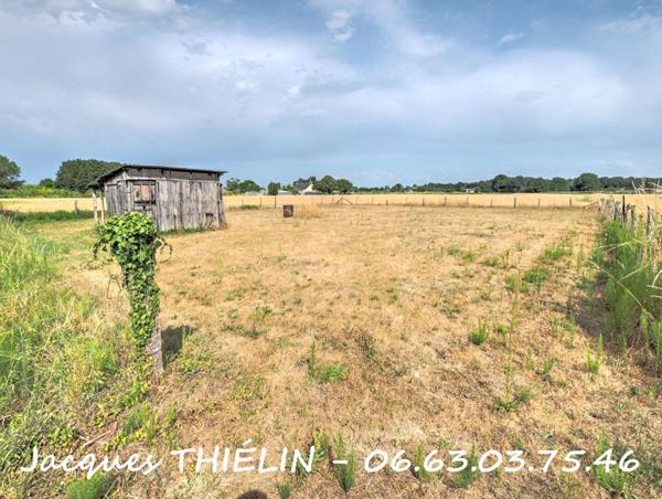 AU CALME DE LA CAMPAGNE, A 3 KMS DU COEUR DE LONGUÉ