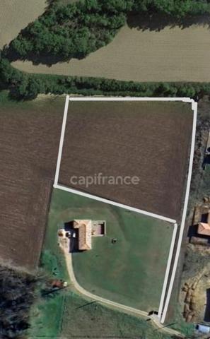 Terrain à vendre 11 142 m2 constructible et borné - AUTERIVE (32)