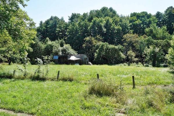 Vente Maison de village 5 pièces 125 m2 à Cirey-sur-Vezouze