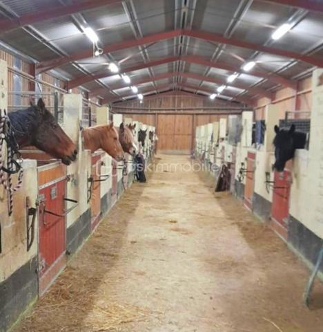 Propriete equestre de 2 112 m²
