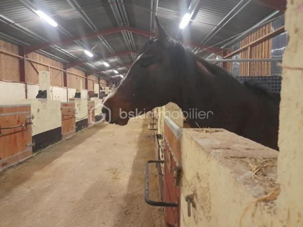Propriete equestre de 2 112 m²