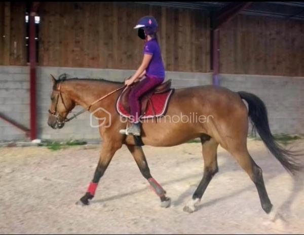 Propriete equestre de 2 112 m²