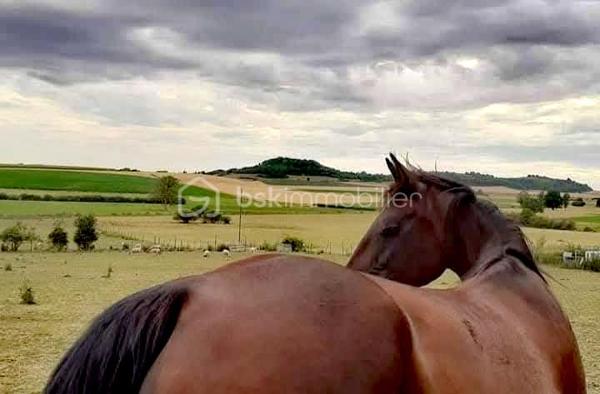 Propriete equestre de 2 112 m²