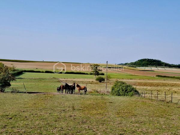 Propriete equestre de 2 112 m²