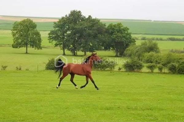 Propriete equestre de 2 112 m²