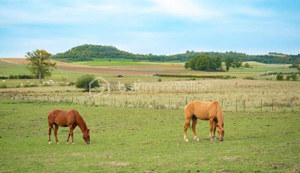 Propriete equestre de 2 112 m²