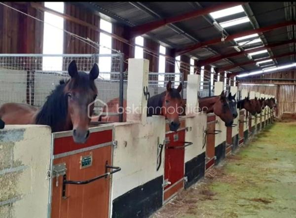 Propriete equestre de 2 112 m²