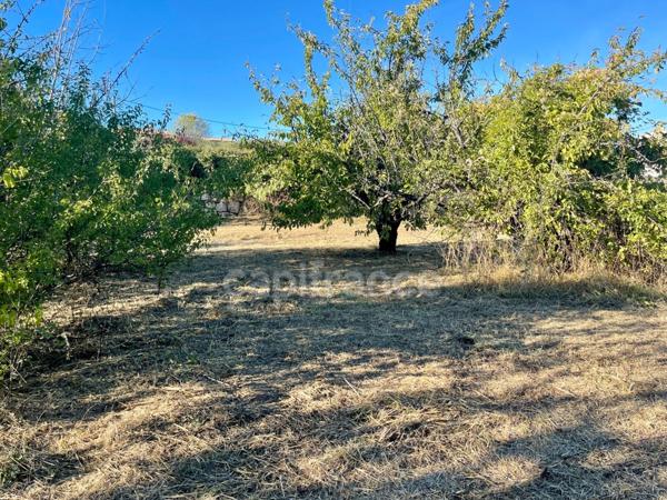 Terrain à vendre APT (84)