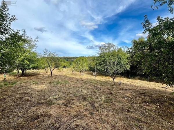 Achat - Terrain de loisirs, bois, étangs Culmont 52600 1400 m 2