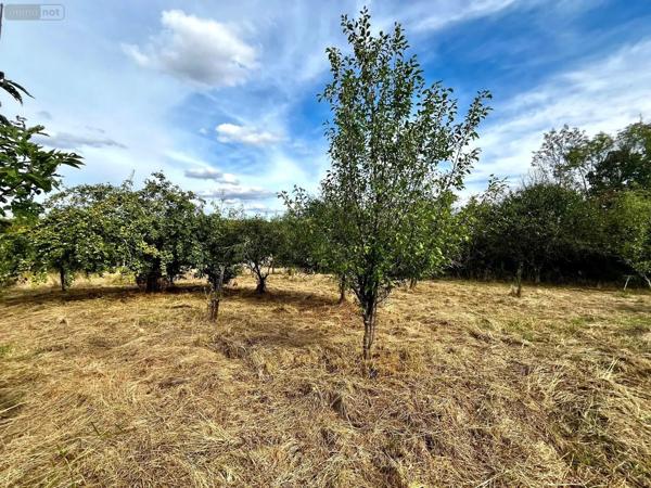 Achat - Terrain de loisirs, bois, étangs Culmont 52600 1400 m 2