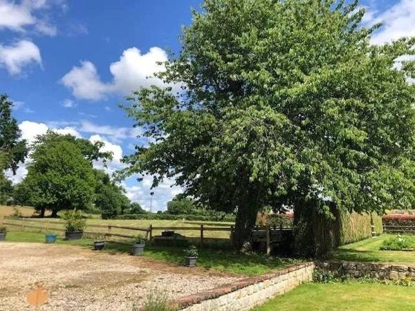 Vente Maison 6 pièces 167 m2 à Juvigny-sous-Andaine