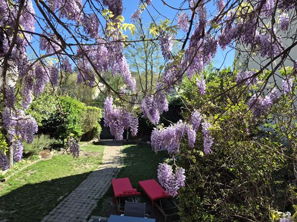 Vue imprenable sur la Marne !!