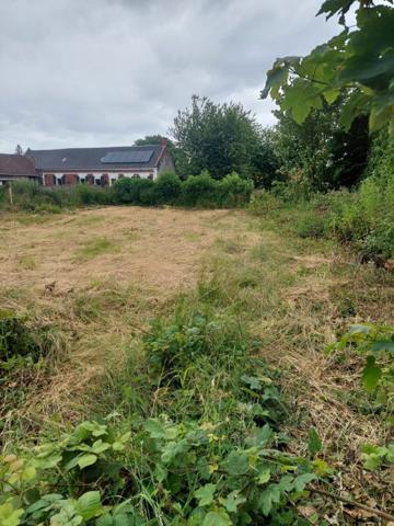 Terrain Constructible Doullens 05 a 35 ca