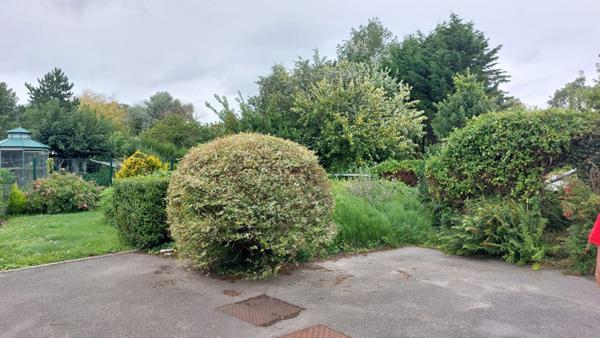 Maison Plain Pied - Merlimont - 4 pièces - 135 m²