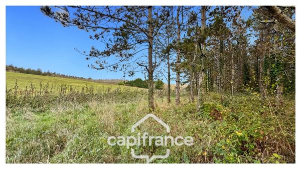 Rare sur le secteur ! Bergerie à rénover avec plus de 4,2 hectares de terrain – Monflanquin