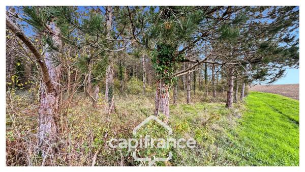 Rare sur le secteur ! Bergerie à rénover avec plus de 4,2 hectares de terrain – Monflanquin