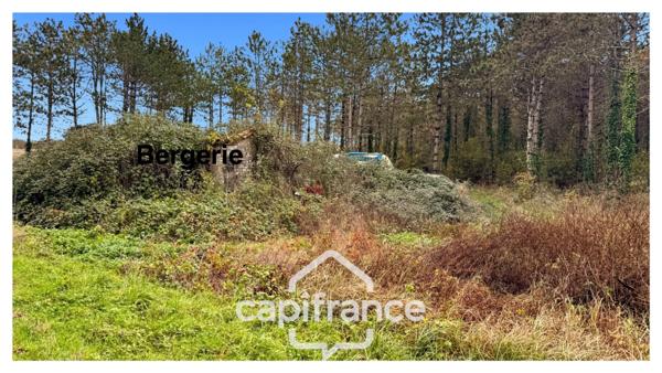 Rare sur le secteur ! Bergerie à rénover avec plus de 4,2 hectares de terrain – Monflanquin