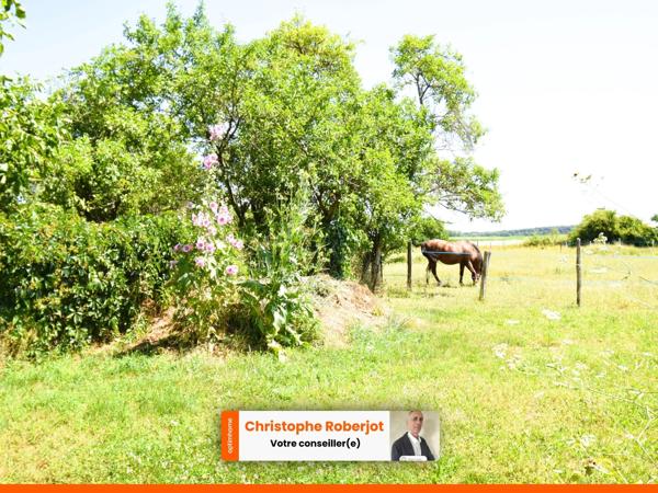 Maison Familiale ATYPIQUE en pierres située entre Chalon sur Saône et Beaune dans un havre de paix de 1700m2 et plus
