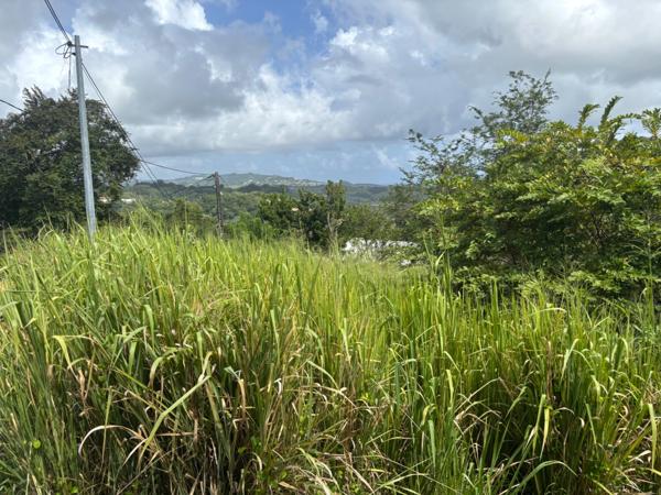 Terrain à vendre  LE ROBERT (972) de 593 m2