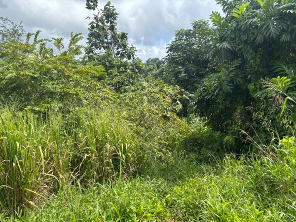 Terrain à vendre  LE ROBERT (972) de 593 m2