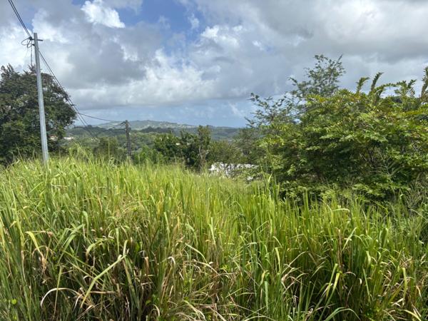 Terrain à vendre  LE ROBERT (972) de 593 m2