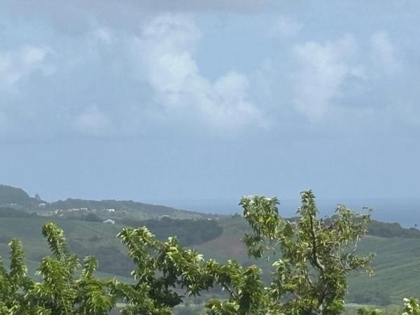 Terrain à vendre  LE ROBERT (972) de 593 m2