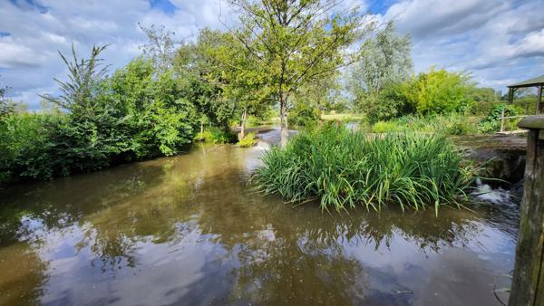 Sainte-Hermine (85210) Un havre de paix, la sérénité d'une rivière en plein cœur de la Vendée