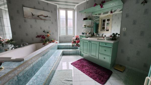 Sainte-Hermine (85210) Un havre de paix, la sérénité d'une rivière en plein cœur de la Vendée