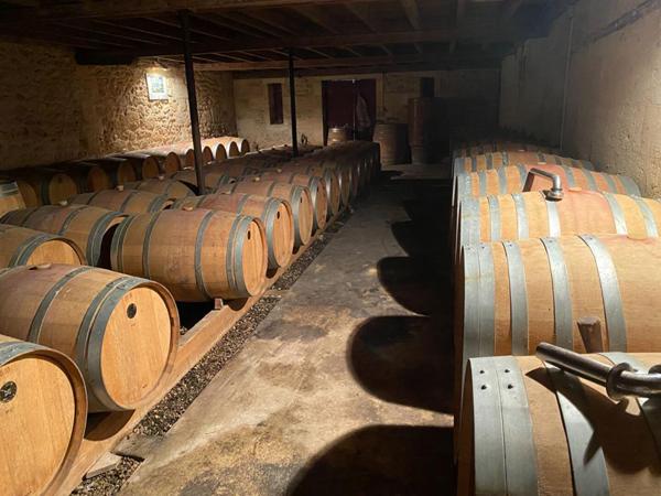 Secteur SAINT EMILION - DOMAINE VITICOLE Saint-Georges, 7 Hectares