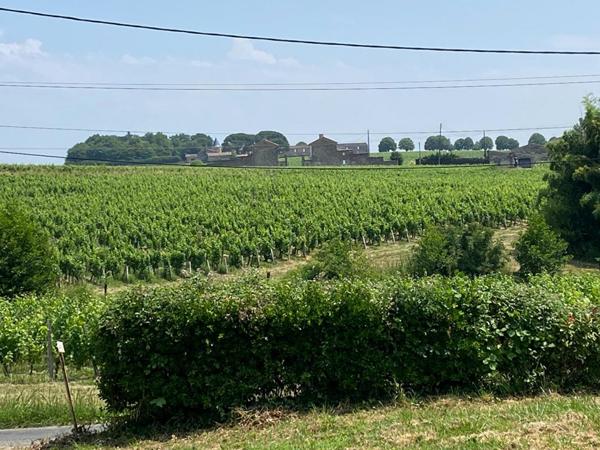 Secteur SAINT EMILION - DOMAINE VITICOLE Saint-Georges, 7 Hectares