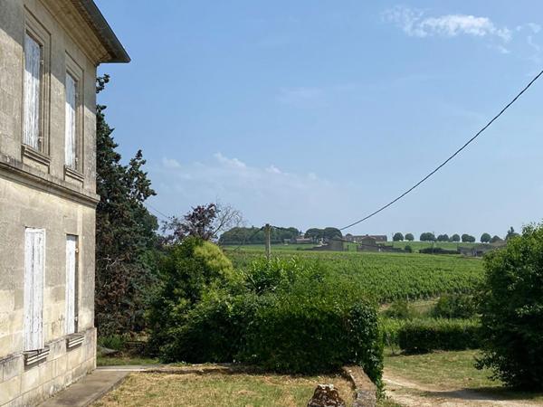 Secteur SAINT EMILION - DOMAINE VITICOLE Saint-Georges, 7 Hectares